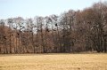 IMG_2011_01_16_01566