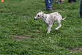 IMG_2010_09_25_01616